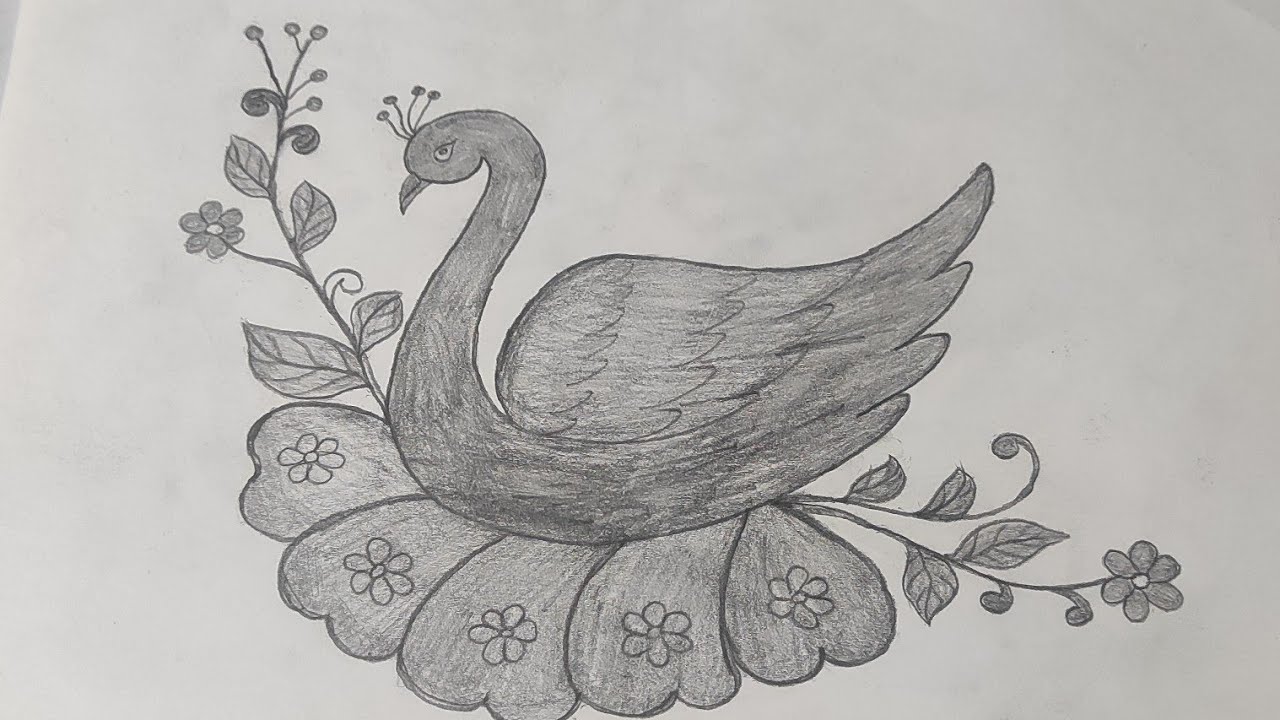 Drawing beautiful peacock - Madhu ! #art #drawing #painting #arttrick 