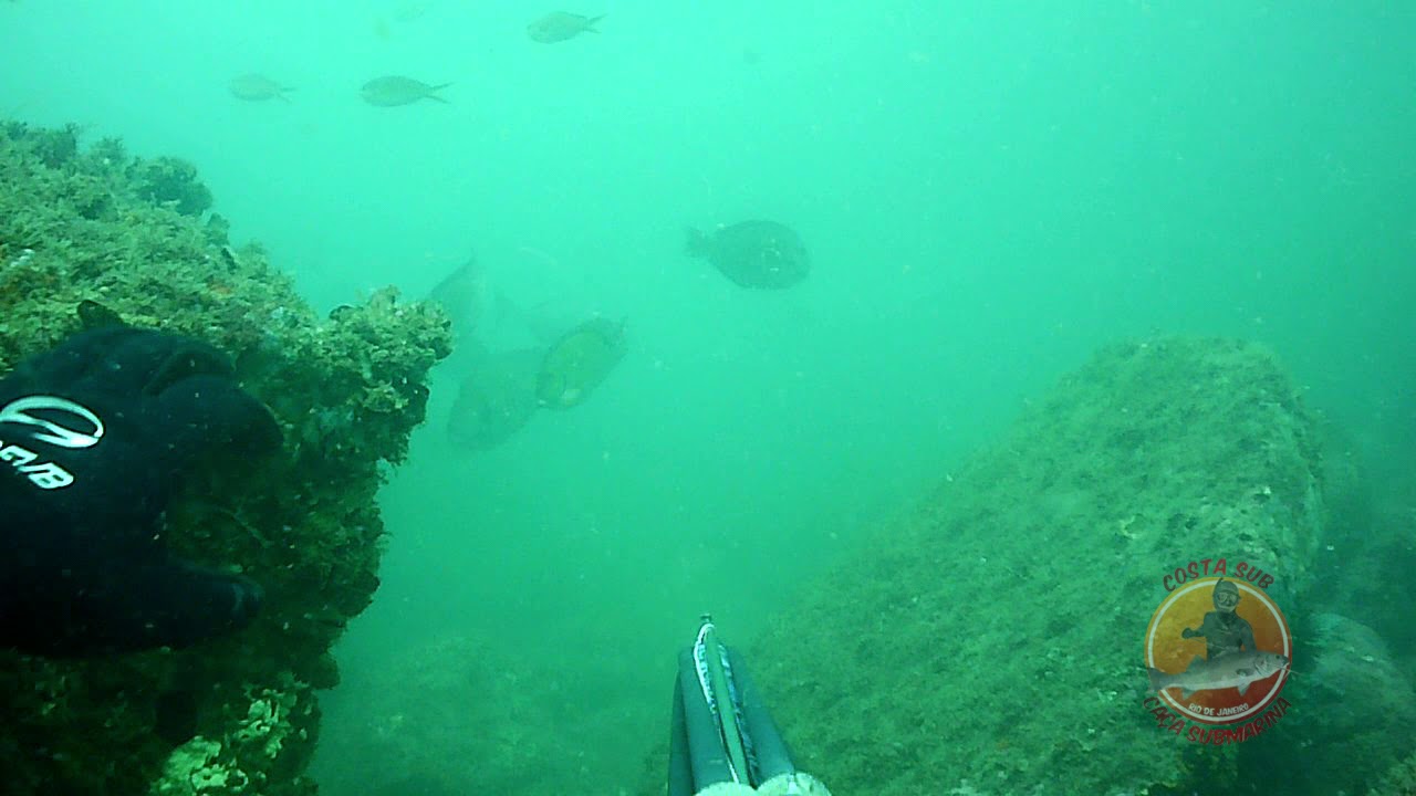 Ca&ccedil;a Sub Mangaratiba