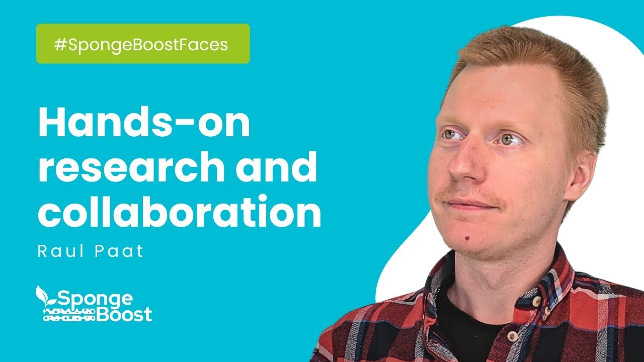 #SpongeBoostFaces: Hands-on research and collaboration with Raul Paat