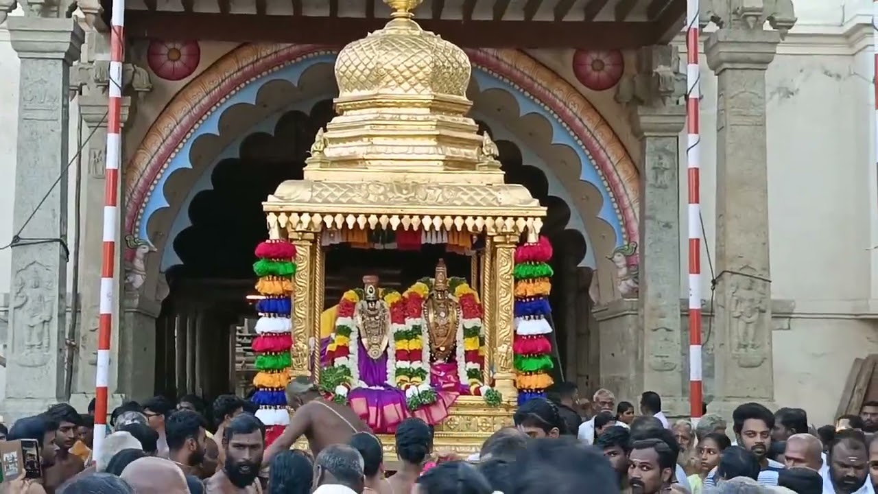 Vanamamalai Perumal Panguni Uthsavam 7th day Punyakoti Vimanam