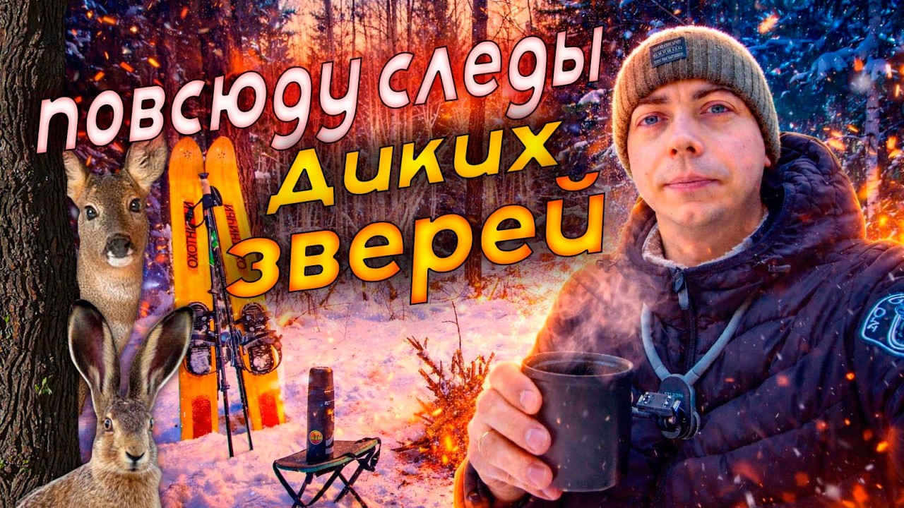 ушёл на лыжах в сибирский лес