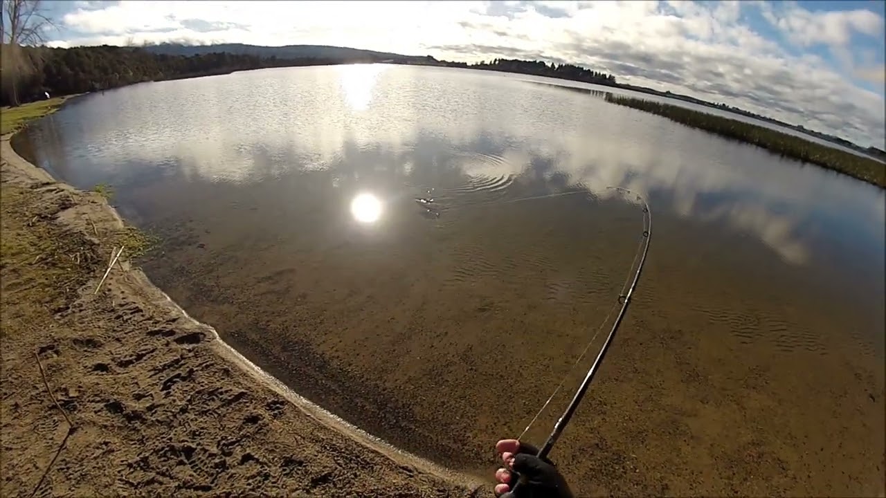 NEW ZEALAND TROUT FISHING PERSON 35