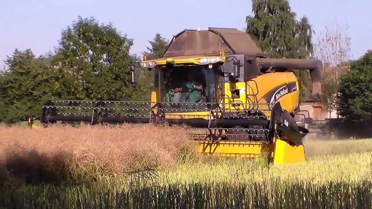New Holland CX 880 im Rapsfeld, Ernte 2013