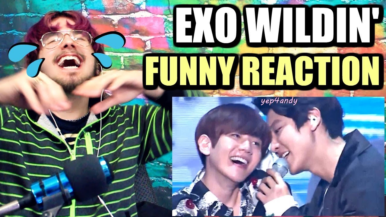 just put EXO in one room and they'll start wildin' | MY CHEEKS HURT LOL! | REACTION!!