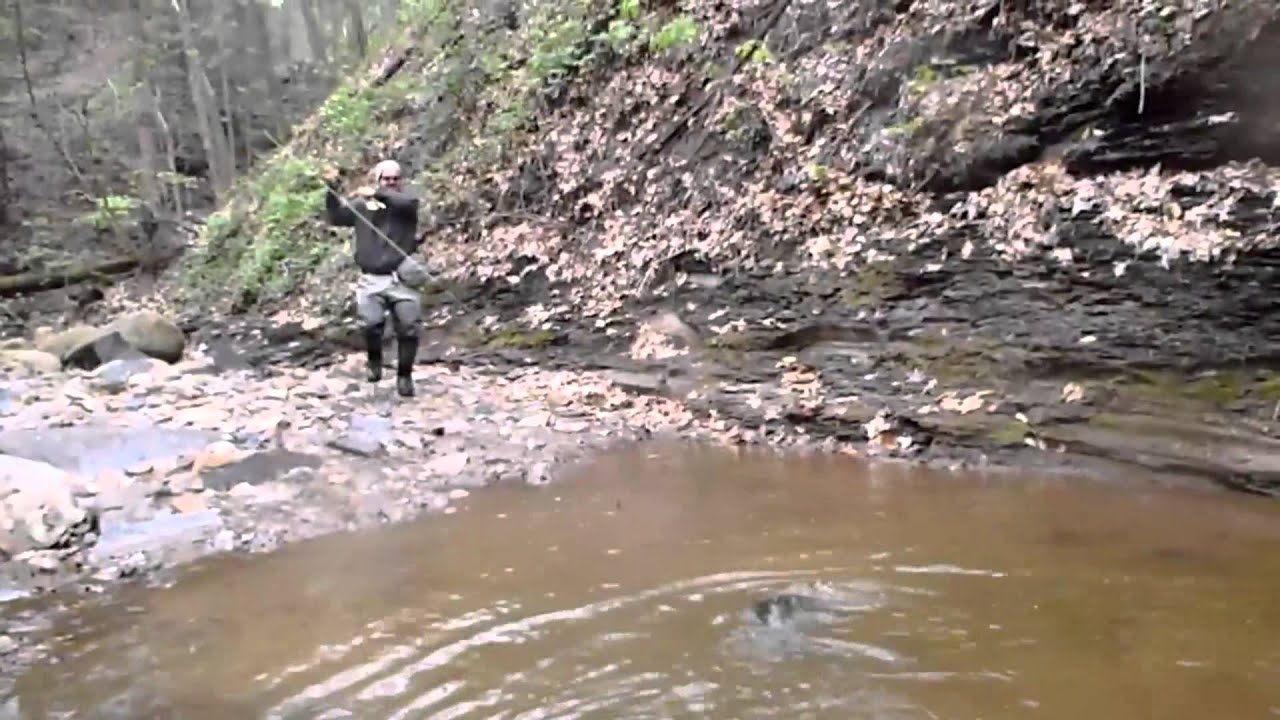 huge fish, tiny creek, broken orvis fly rod