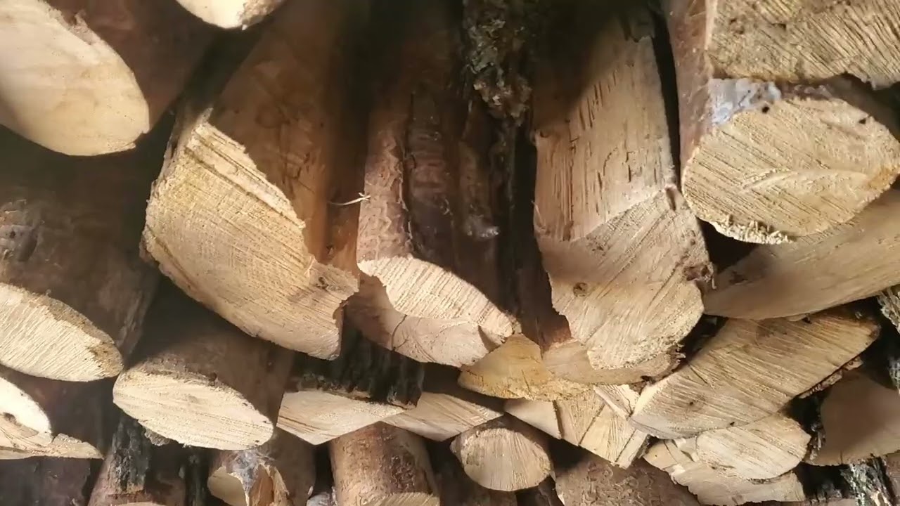 Firewood Day!