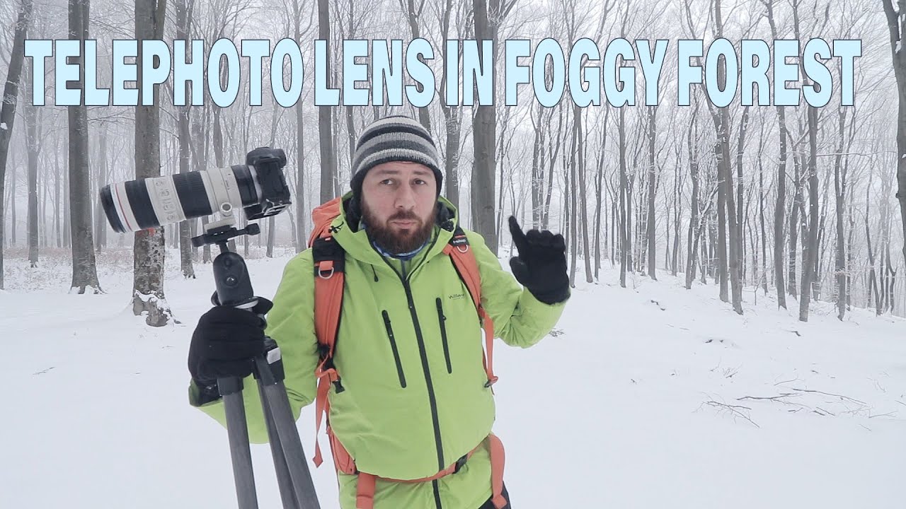 Landscape Photography - Using a Telephoto Lens in Winter Foggy Forest