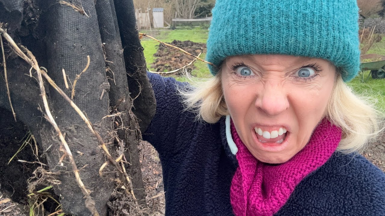 Re-doing the allotment paths