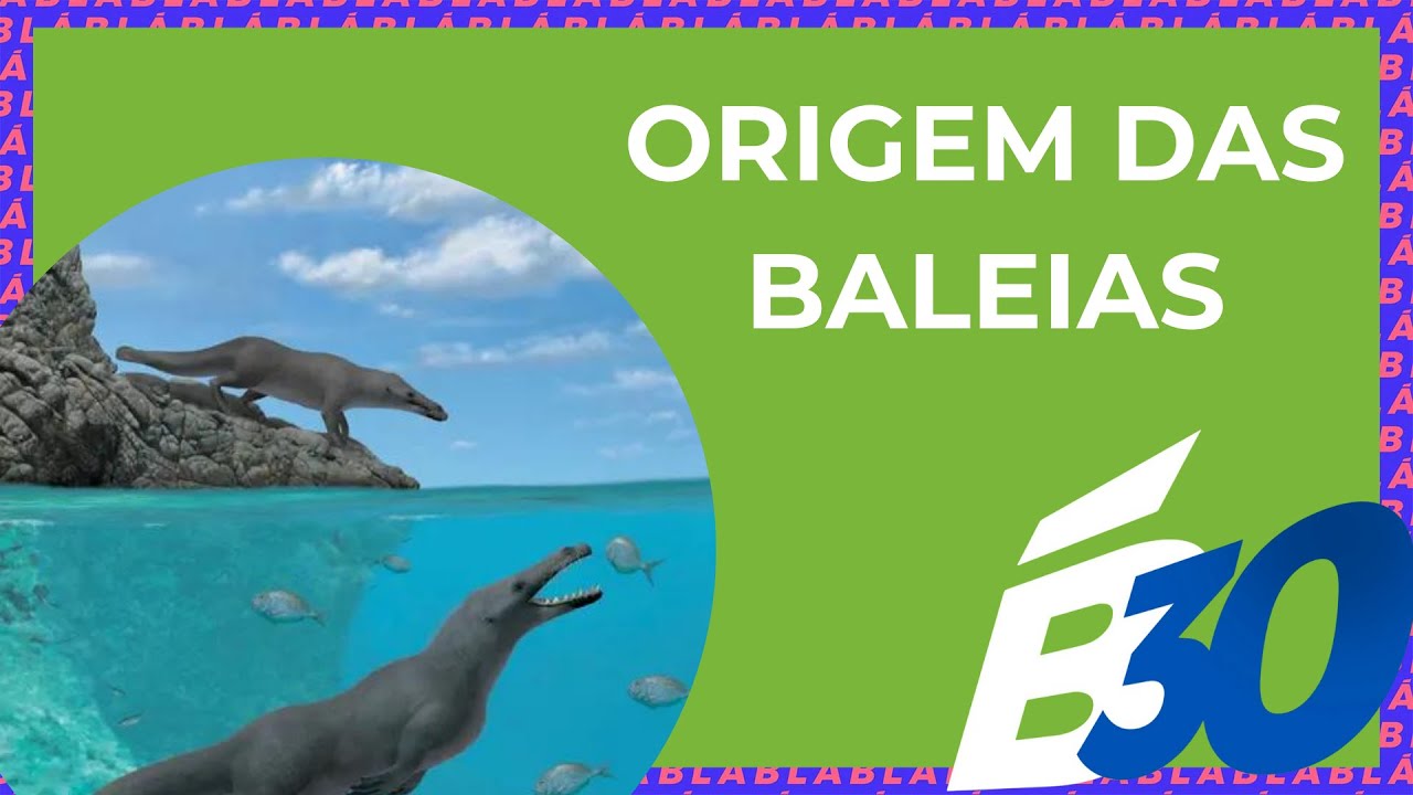 ORIGEM DAS BALEIAS | Biologia em Meia Hora