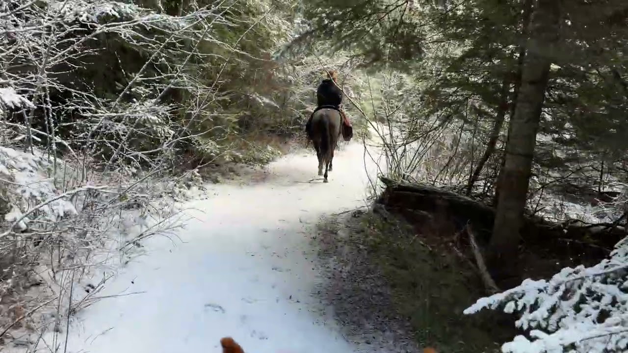 A Ride I’ll Never Forget | Quiet Winter Horse POV