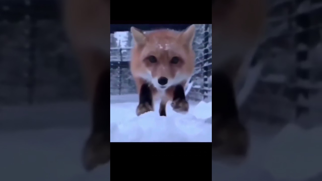 ұ