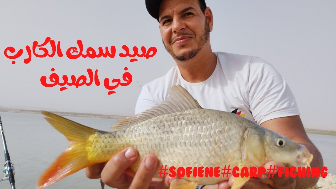 صيد سمك الكارب في فصل الصيف والإرتفاع المحسوس في درجات الحرارة  يؤثر سلبا  على سمك السدود
