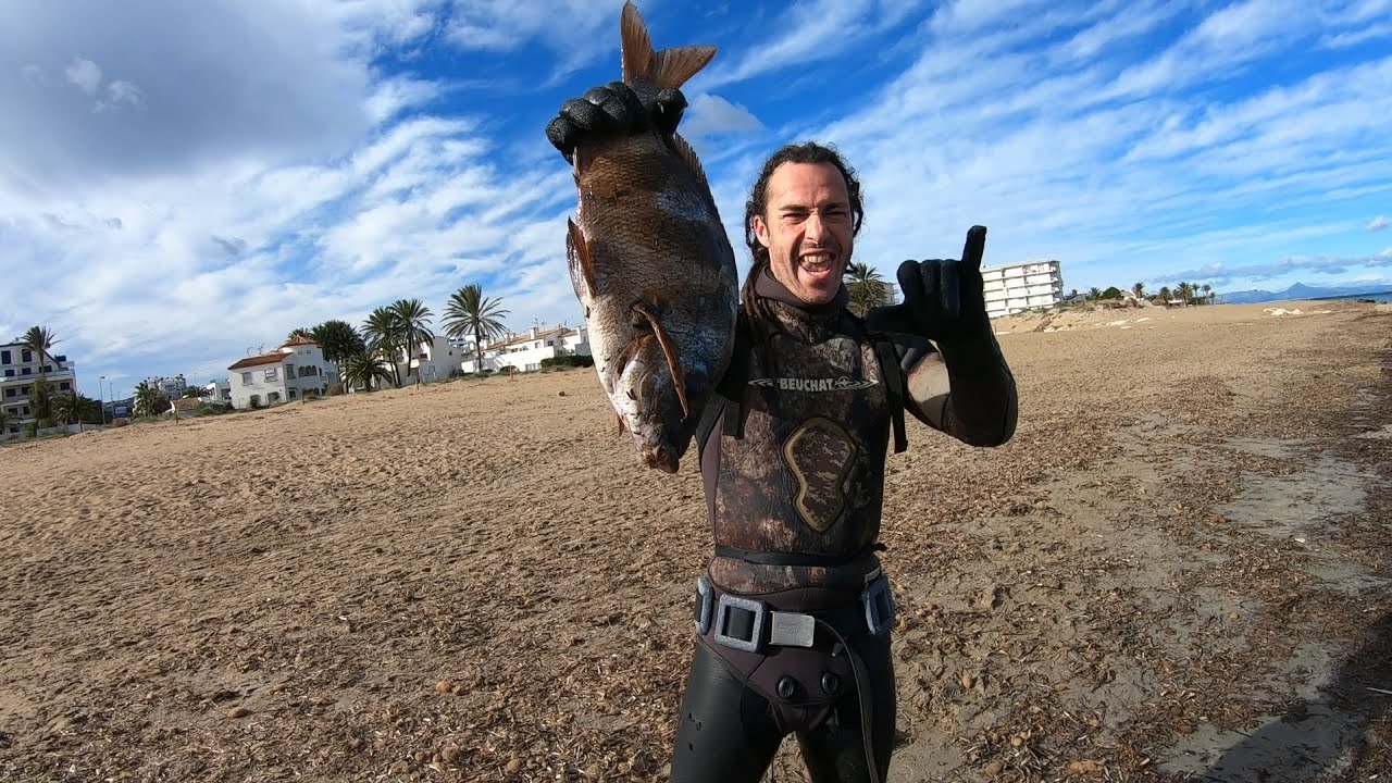 Pesco un Sargo breado | PESCA SUBMARINA para comer #0