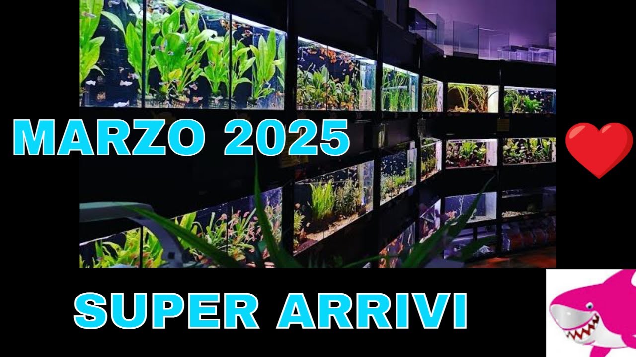 NUOVI SUPER ARRIVI Marzo 2025 by Tropicalmania