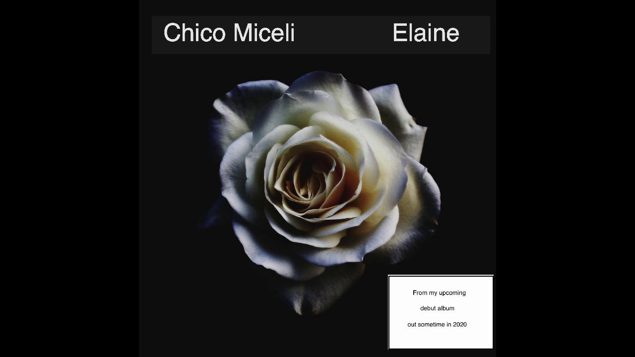 Instrumental Pop Music Guitar based song- Elaine Original song by Chico Miceli