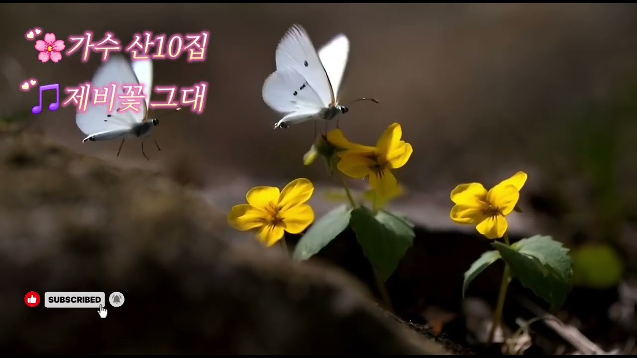 🌸가수 산 10집 엔딩곡 🎵제비꽃 그대 