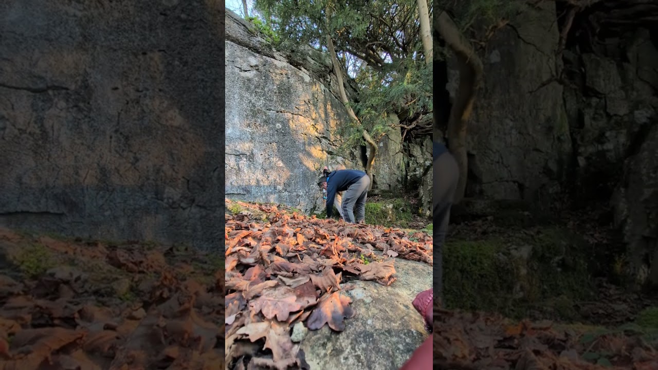 Fairy Steps