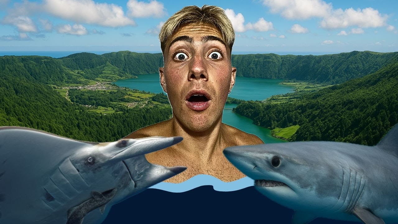 Immergersi Con Le Mante  E Salvare Uno Squalo Alle Azzorre