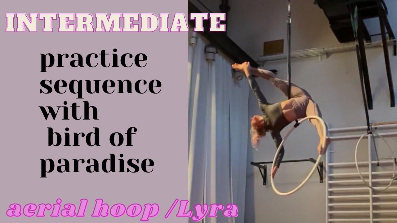short intermediate flow with bird of paradise on aerial hoop/lyra