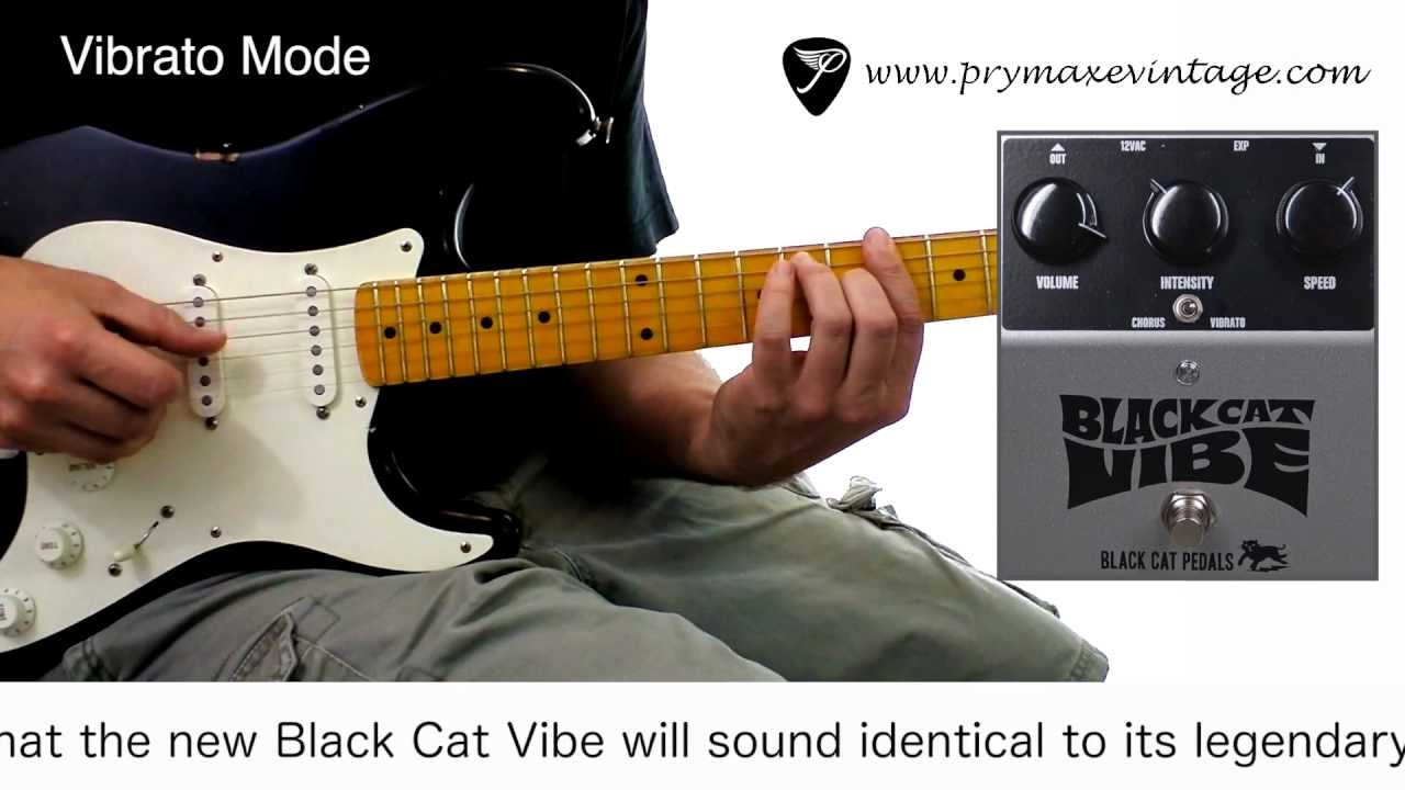 Black Cat Pedals Vibe