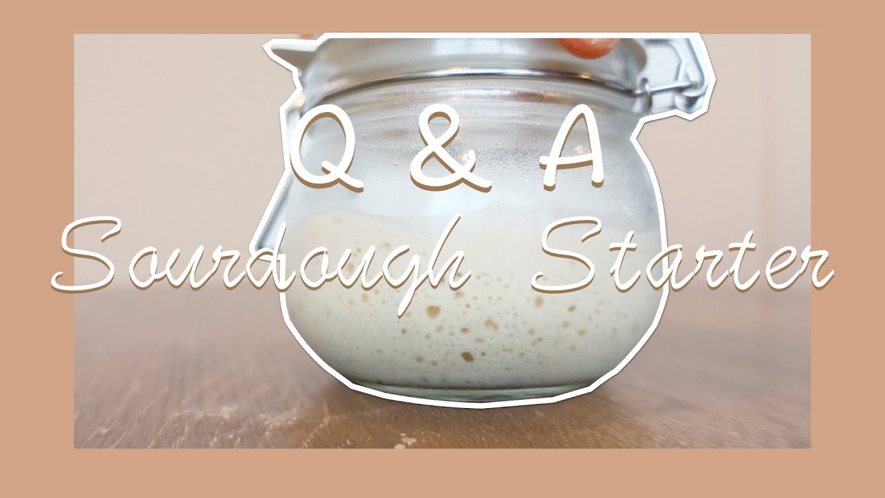 酸種續種分享＋ Q&A｜Sourdough Starter Q&A
