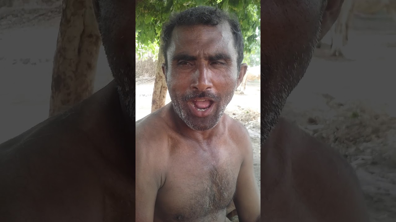 Bakra voice