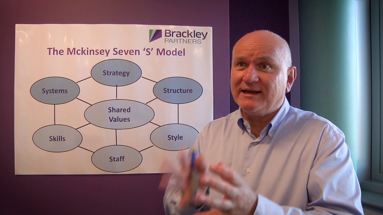 The Seven S Model