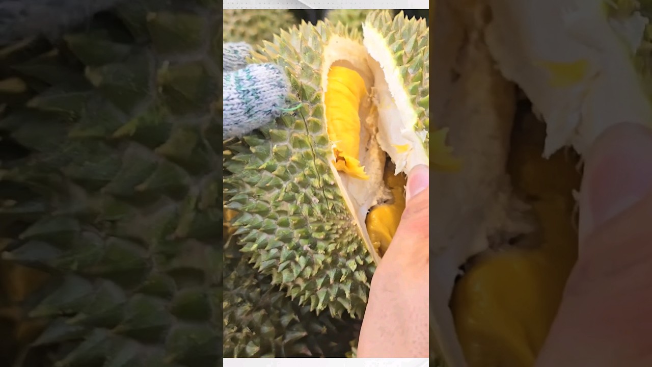 Surviving the Stinky Durian Challenge: My Experience #thevetpreneurvoice #musangking #durian #duren