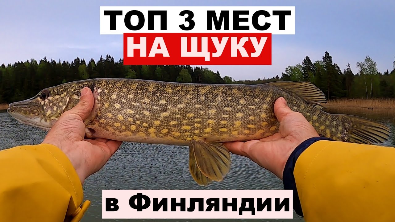 Рыбалка в Финляндии. 3 лучших места для рыбалки на морскую щуку в Финляндии.