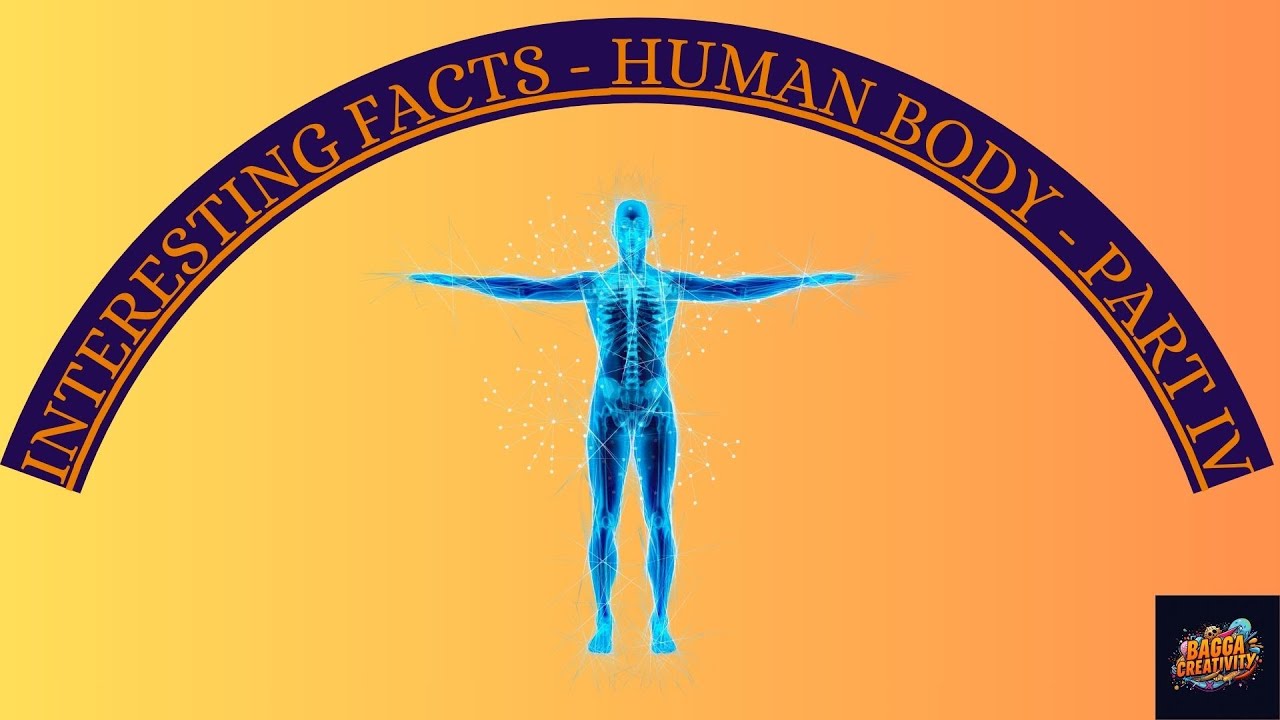 Interesting Facts - Human Body -  PART IV | #bagga | #baggacreativity | #human | #humanbodyfacts |