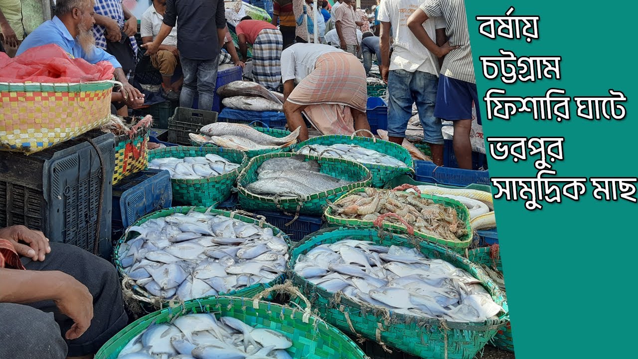বর্ষায় সামুদ্রিক মাছে ভরপুর চট্টগ্রাম ফিশারি ঘাট।প্রচুর আমদানি তবে দাম চড়া। Sea Fish Prices।