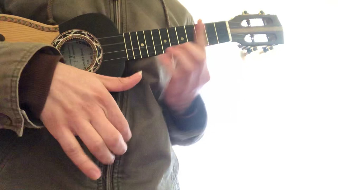 Cavaquinho português- arregaça