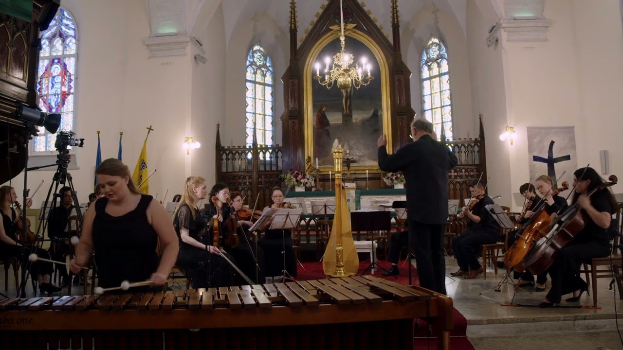 Concerto for Marimba & Strings Mov. 2 - Emmanuel Séjourné