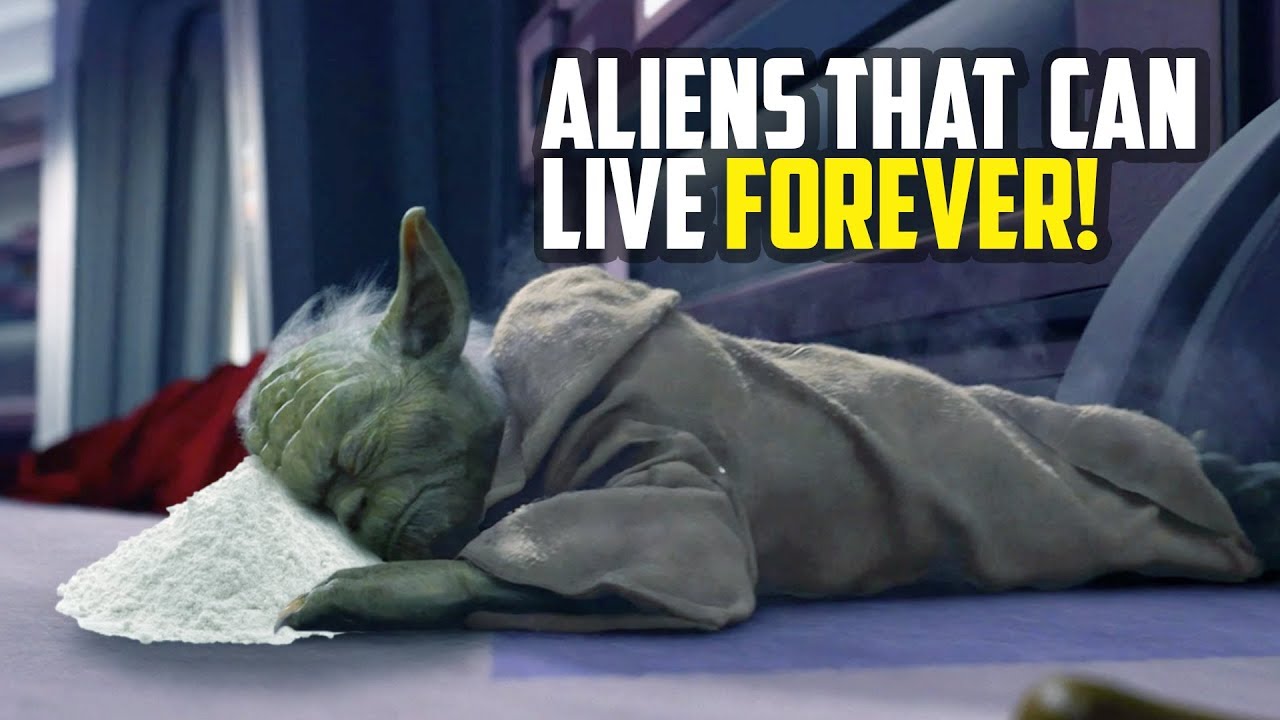 Which Species Live the Longest in Star Wars?