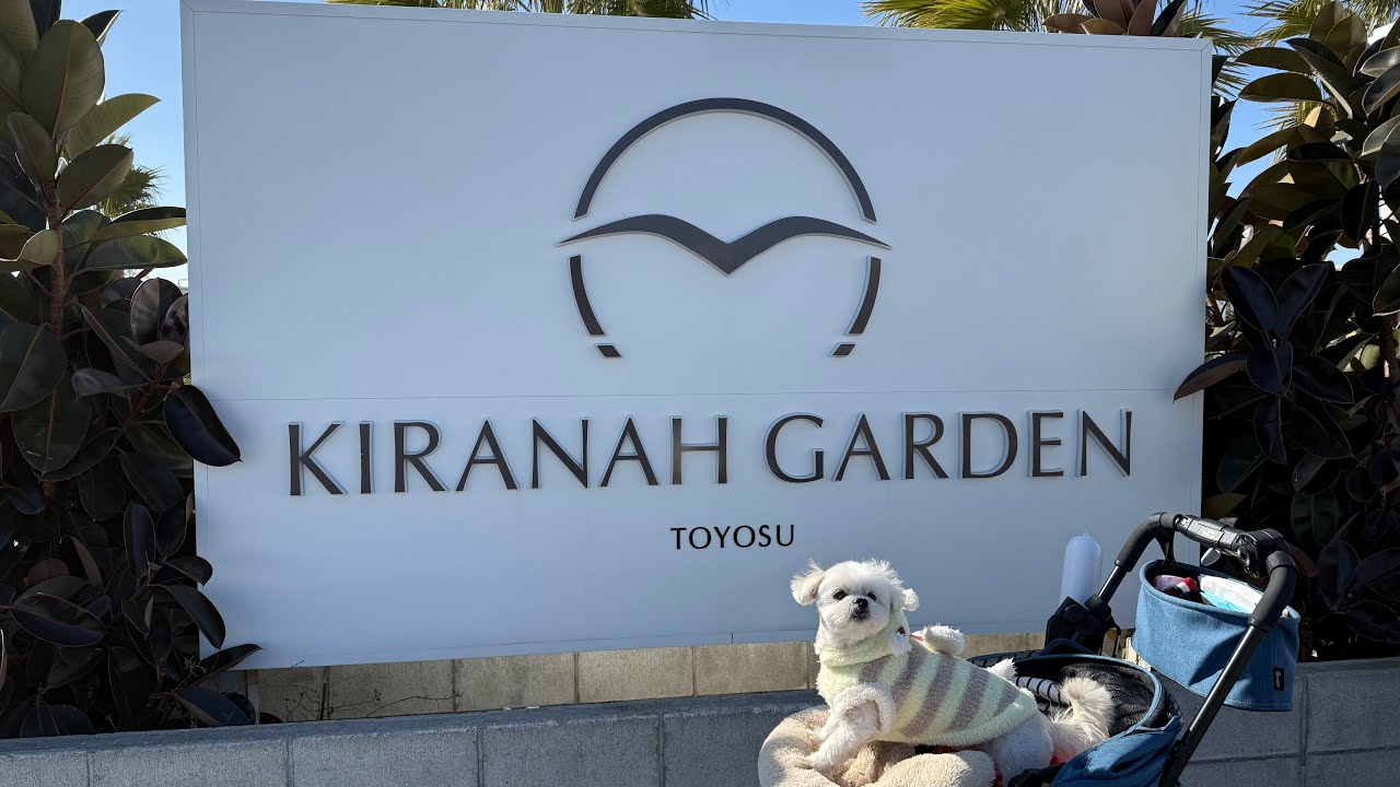 豊洲でまったり。キラナガーデン豊洲＆千客万来を愛犬と巡る