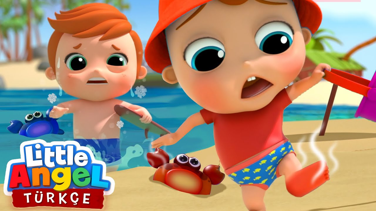 Can Bebek Plajda, Zıt Kavramlar Şarkısı | Eğlenceli Ve Öğretici Çocuk Şarkıları |Little Angel Türkçe