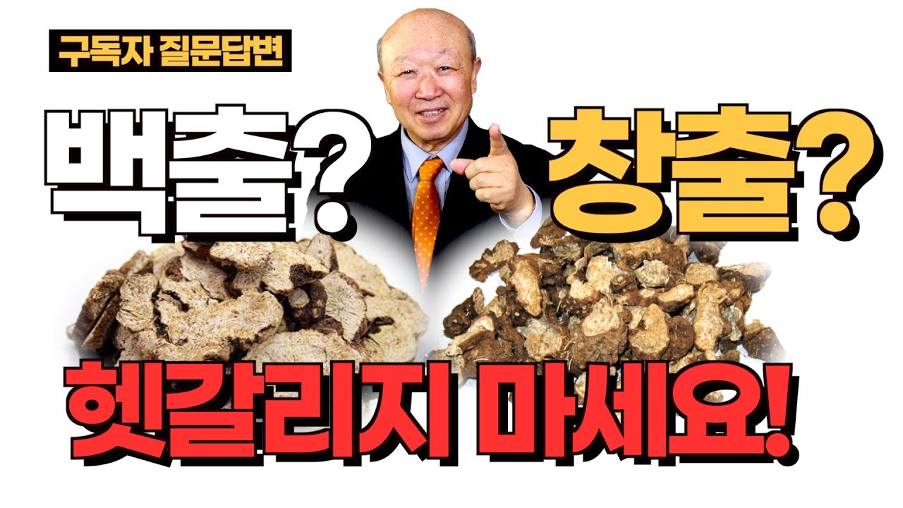 백출? 창출? 이제 헷갈리지 마세요!