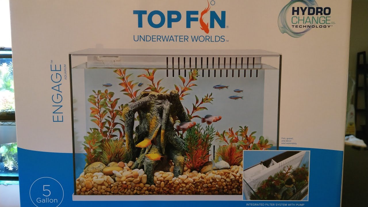 Top Fin Engage. New 5 Gallon All Glass Tank from Petsmart.
