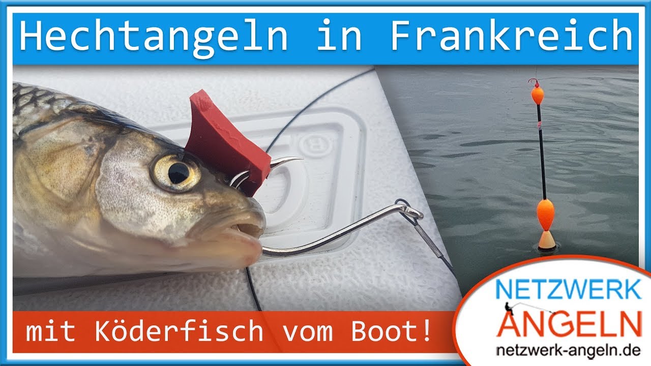 Hechtangeln in Frankreich: Mit Köderfisch vom Boot
