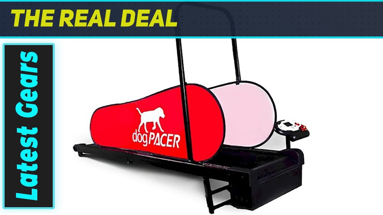 Best Treadmill for Large Dogs? dogPACER 3.1 Review
