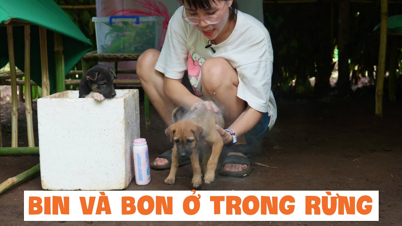 Thử Thách 1000 Giờ Làm Nhà Sinh Tồn Trong Rừng Phần 3