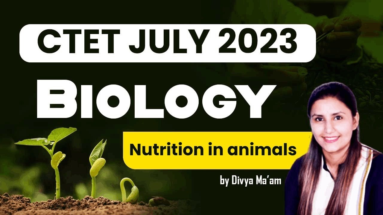 CTET July 2023 | Biology-Circulatory system by Divya Maam