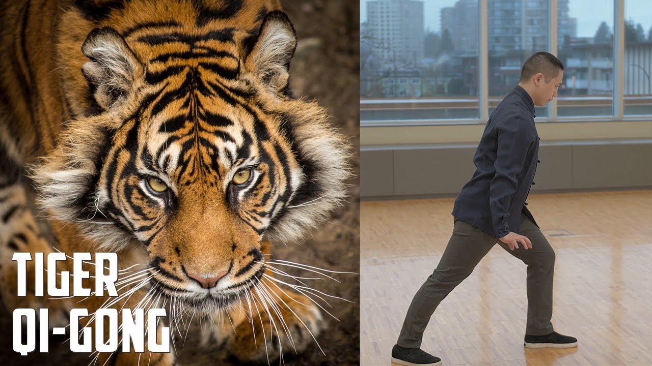 Five Animals Qi Gong - Tiger Form - Heal your Liver and Gall Bladder