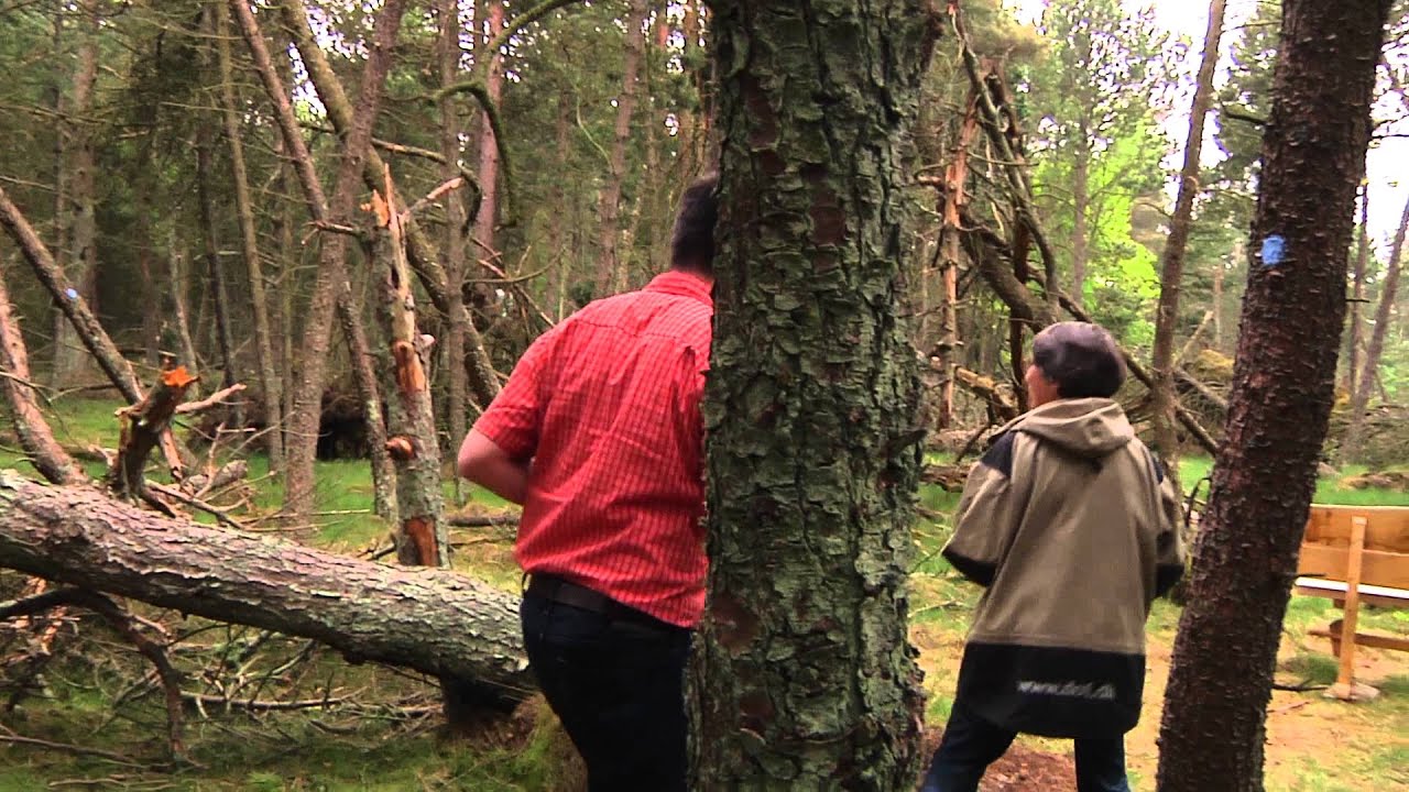 Nationalpark Mols Bjerge - Stubbe s&oslash;
