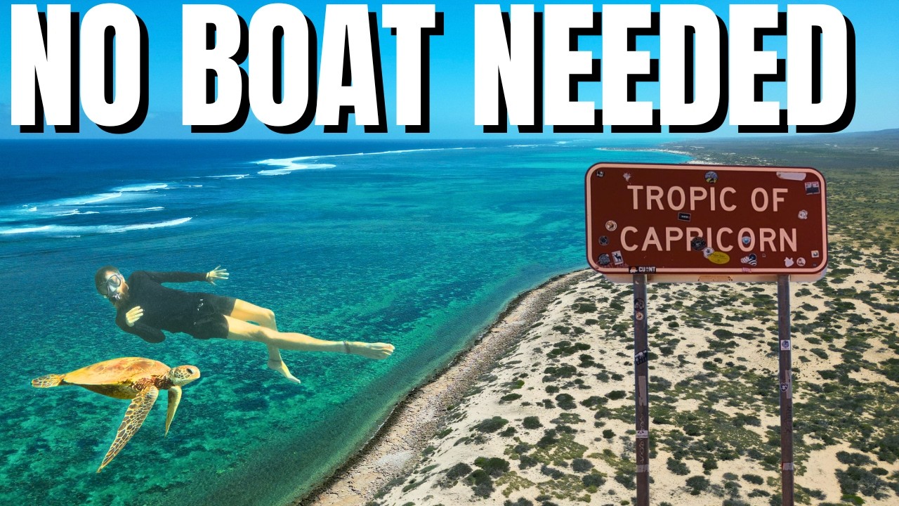 Is This Australia's Best Reef? (No Boat Needed)