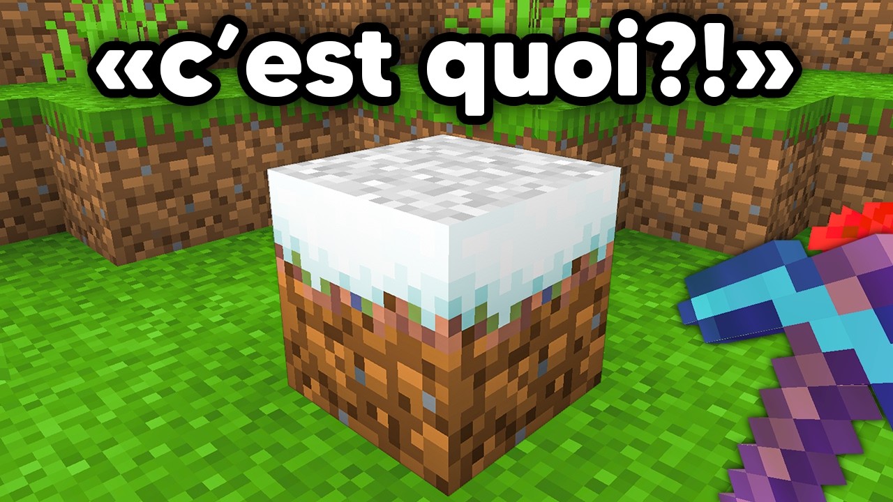 J'ai Obtenu les Items les plus Rares de Minecraft..