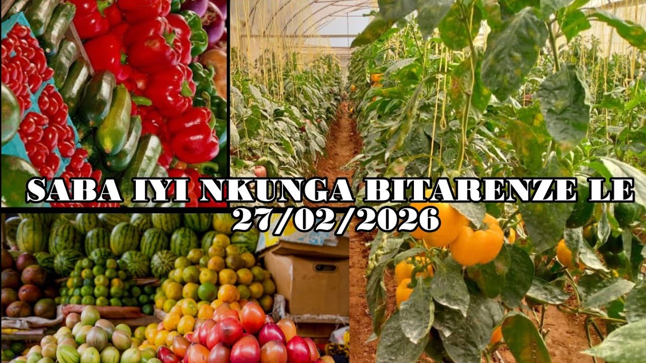 Urahabwa kuva kuri miliyoni 6 kugera kuri miliyoni 41