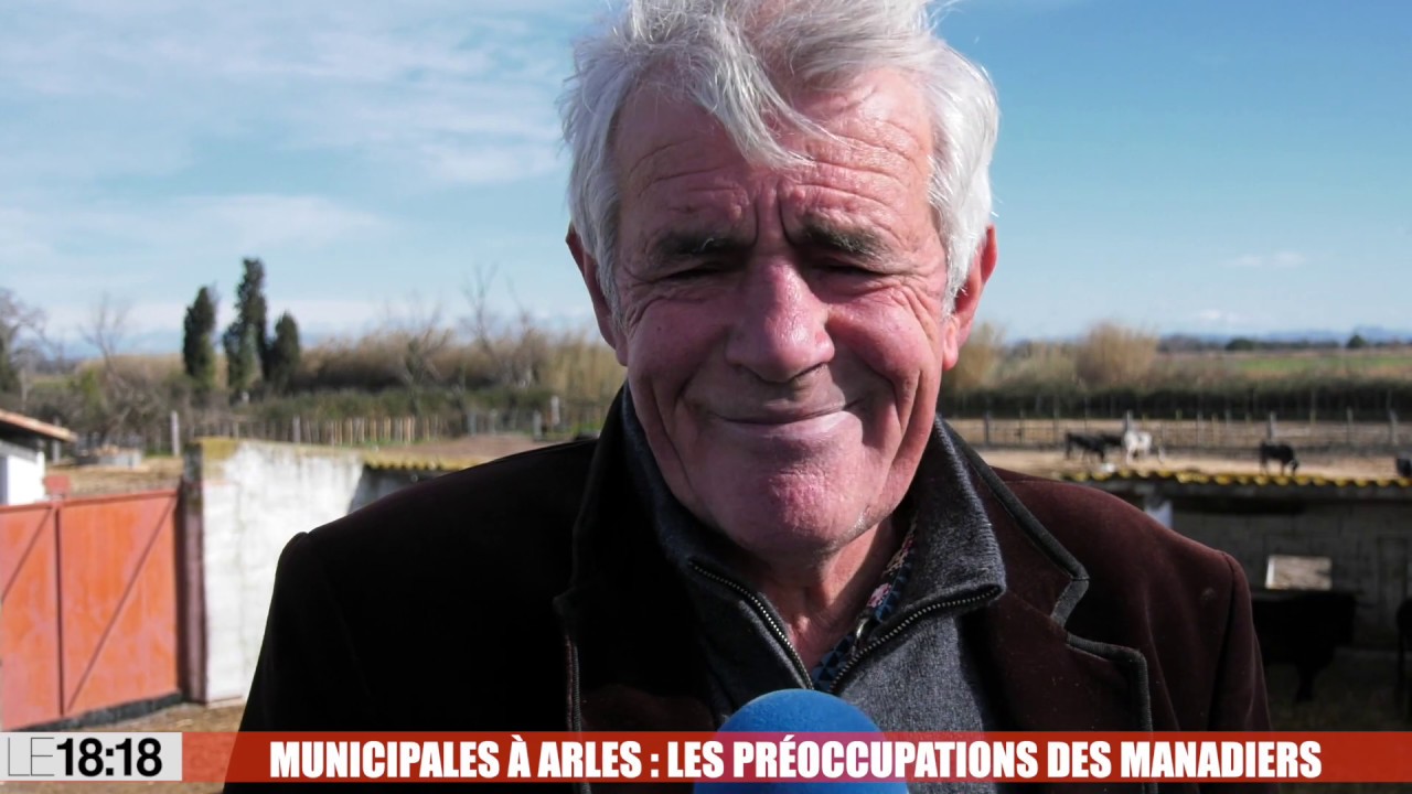 Municipales &agrave; Arles : les pr&eacute;occupations des manadiers