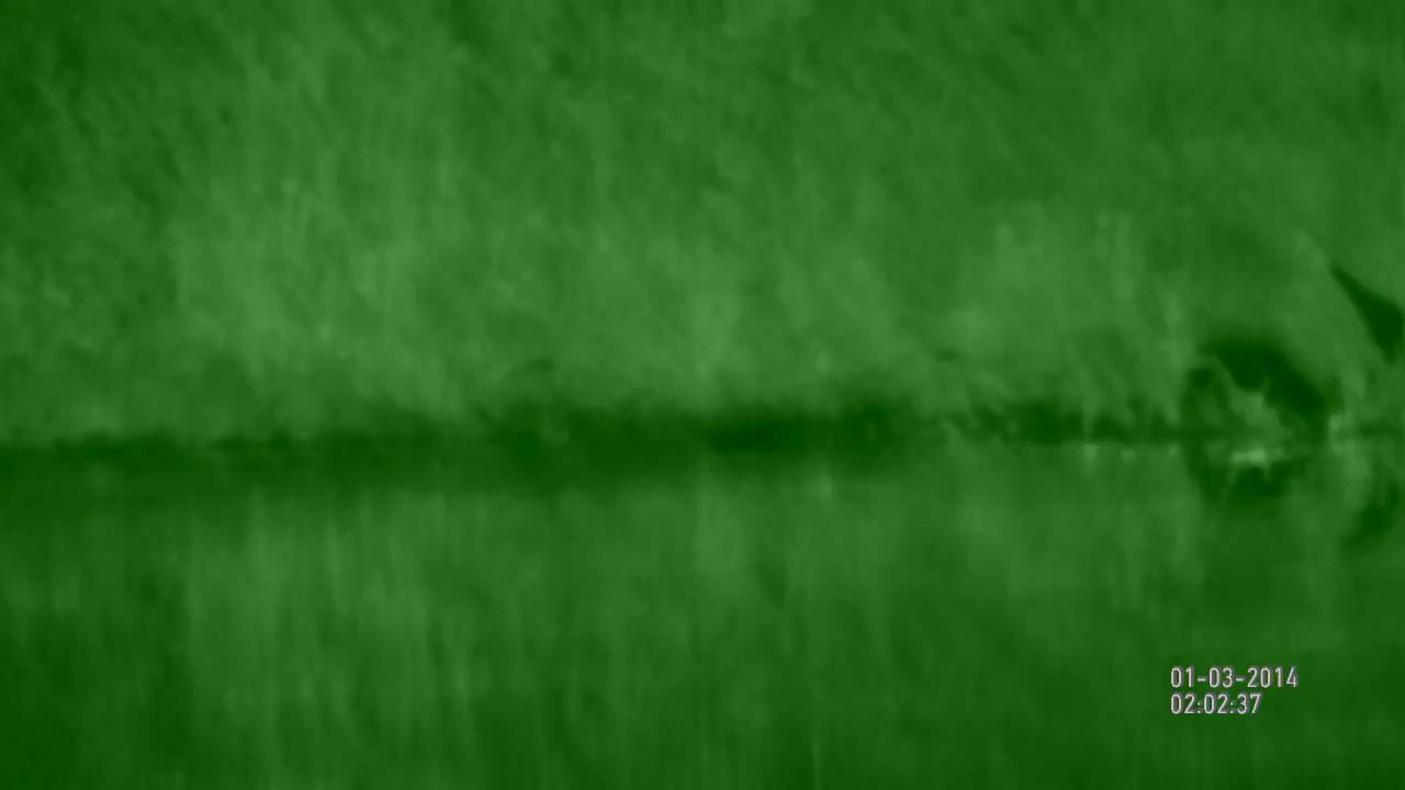 Обзор ATN BinoX-HD &mdash; Beaver Watch | Цифровой бинокль с камерой &mdash; плюсы и минусы