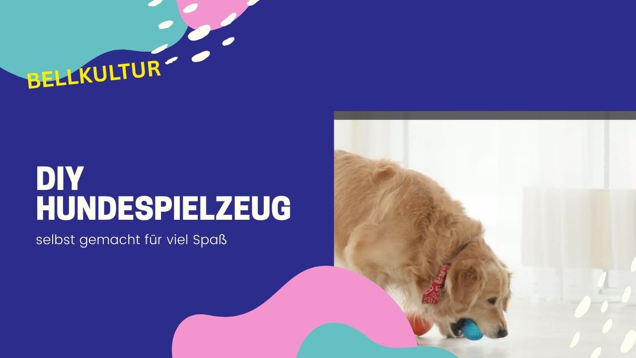 DIY Hundespielzeug   5 einfache Ideen aus dem Haus